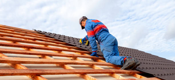 Best Roof Moss and Algae Removal  in Riva, MD